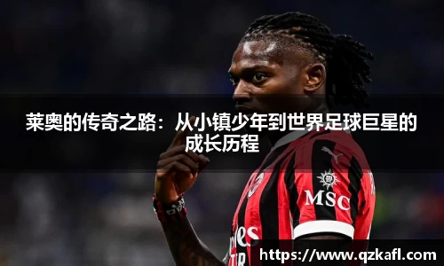 BB贝博登录入口